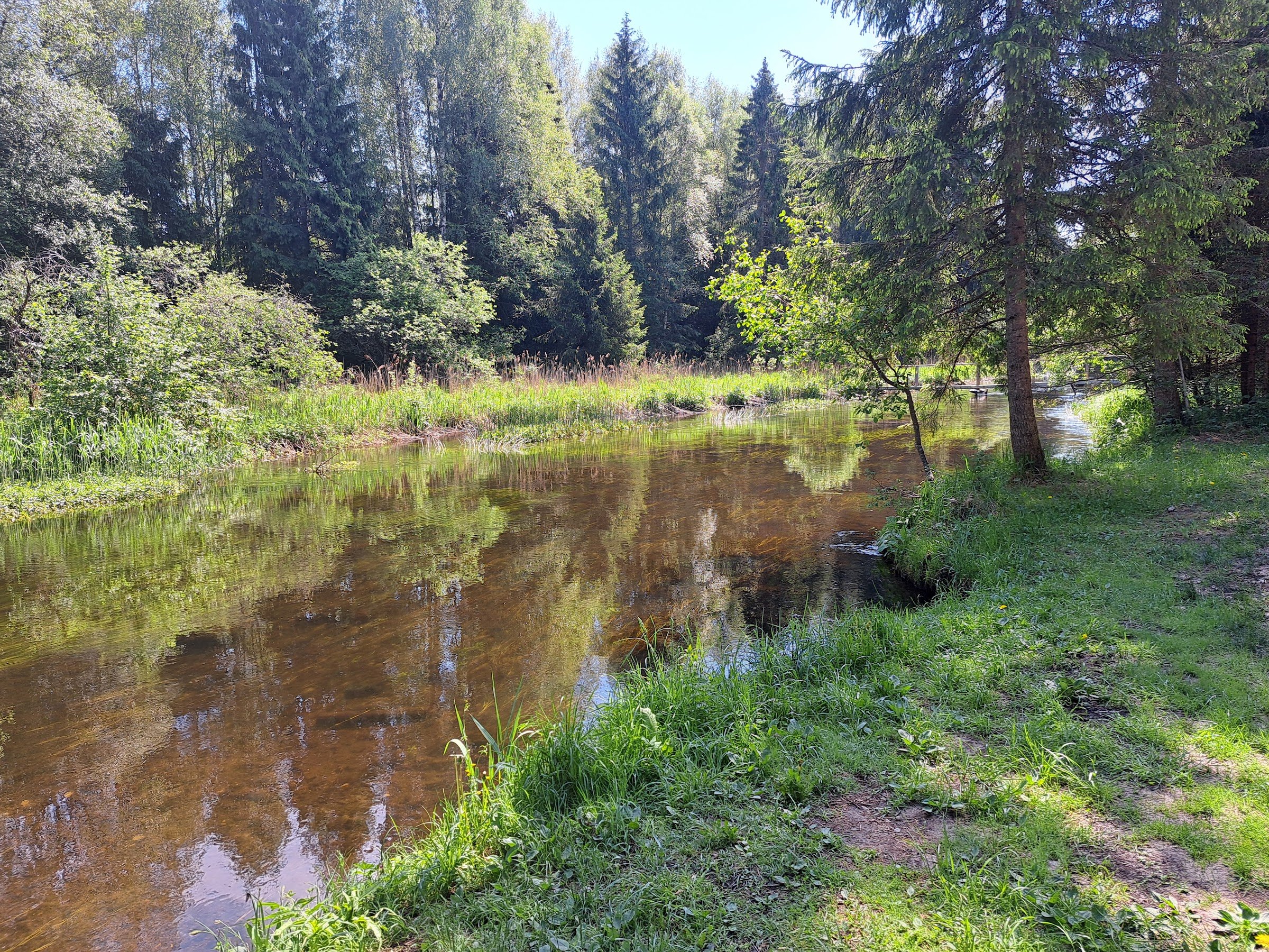 RMK Kirikumäe lõkkekoht
